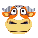 Angus