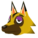 Kyle