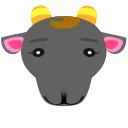 Nan