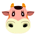 Norma