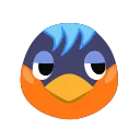 Robin