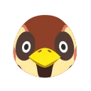 Sparro
