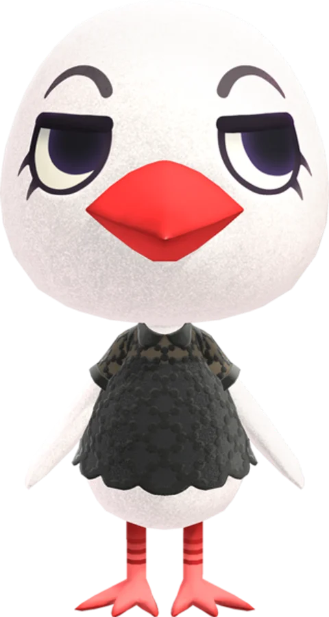 Piper