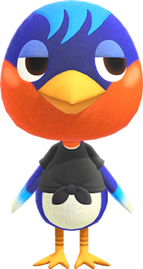 Robin